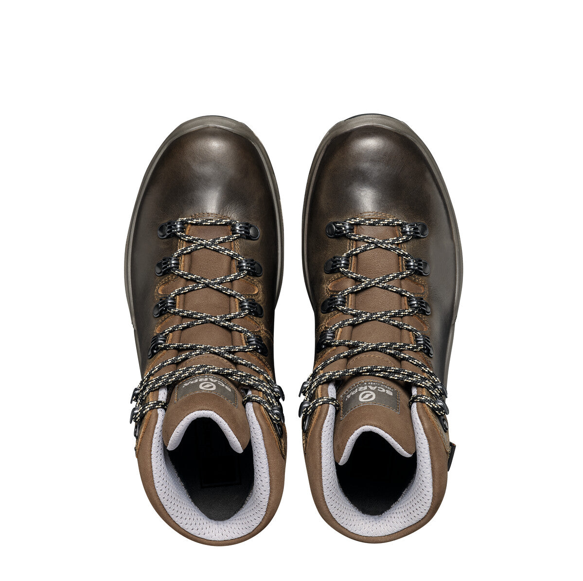 TERRA GTX WOMEN'S - Image 5