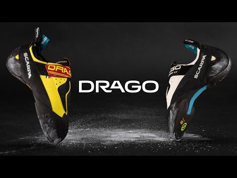 DRAGO (LIMITED EDITION) - Image 8